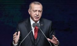 أردوغان يُمهل واشنطن أسبوعين لإنشاء المنطقة الآمنة